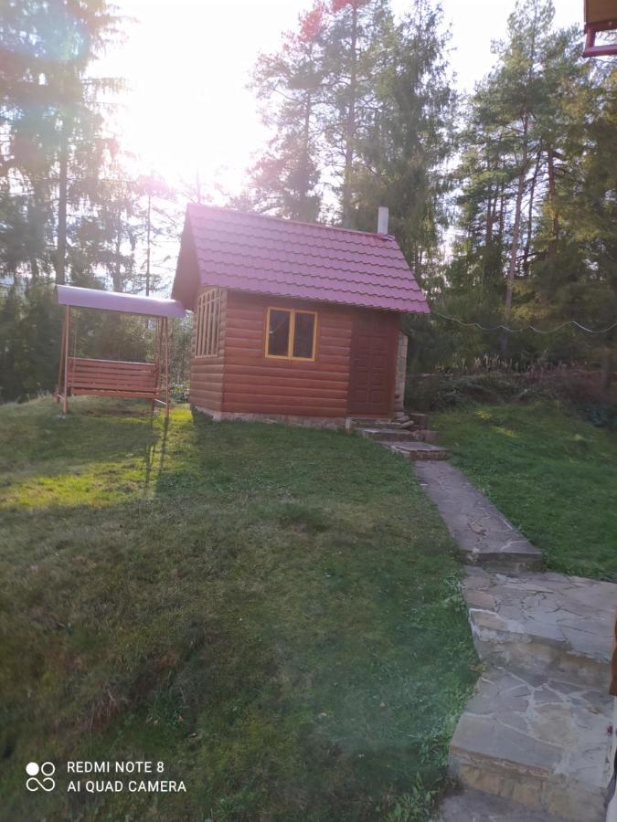 Лісова Казка Villa Jaremtsje Buitenkant foto