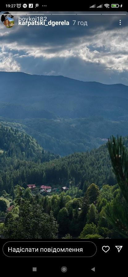 Лісова Казка Villa Jaremtsje Buitenkant foto