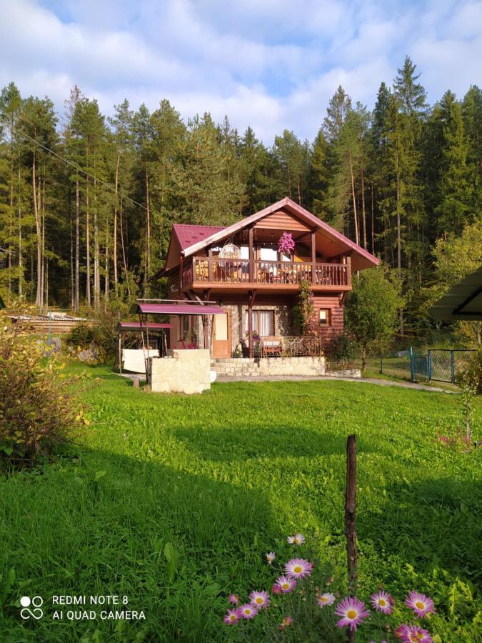 Лісова Казка Villa Jaremtsje Buitenkant foto