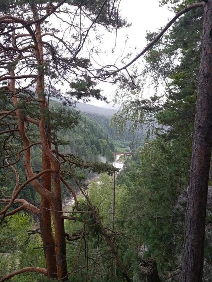 Лісова Казка Villa Jaremtsje Buitenkant foto