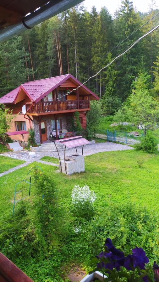 Лісова Казка Villa Jaremtsje Buitenkant foto